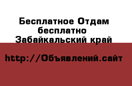 Бесплатное Отдам бесплатно. Забайкальский край